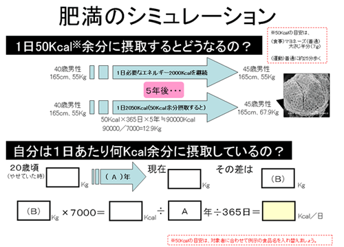 肥満のシミレーション・図